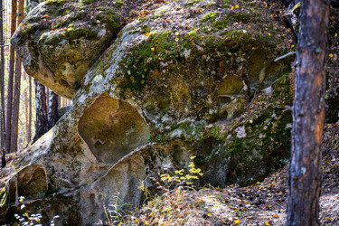 Similar image 21912237