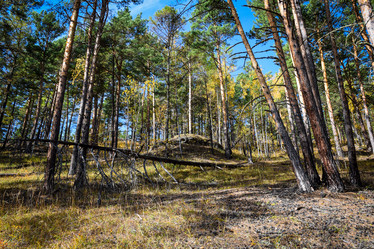 Similar image 21912240