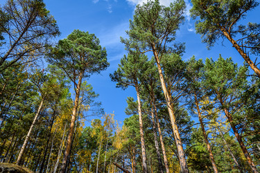 Similar image 21912241