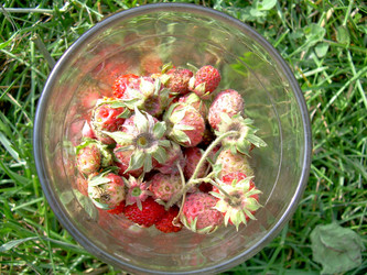 Similar image 21914339