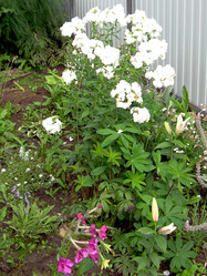 Similar image 21914340