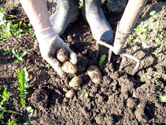 Similar image 21914342