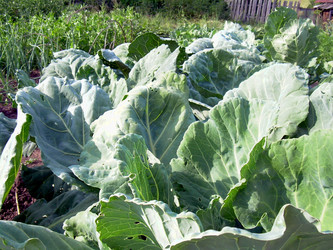 Similar image 21914343