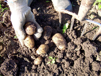 Similar image 21914344