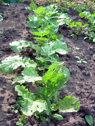 Similar image 21914345