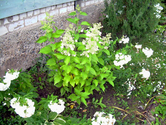 Similar image 21914350