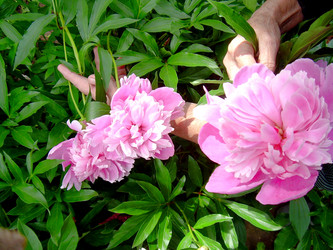 Similar image 21914352