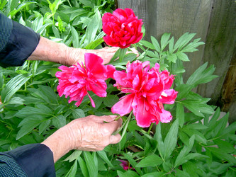 Similar image 21914353