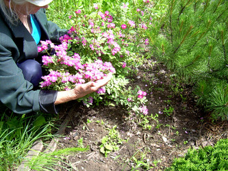 Similar image 21914354