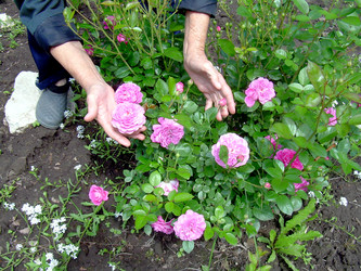 Similar image 21914355