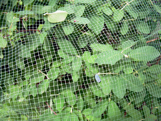 Similar image 21914356