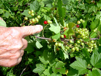 Similar image 21914358