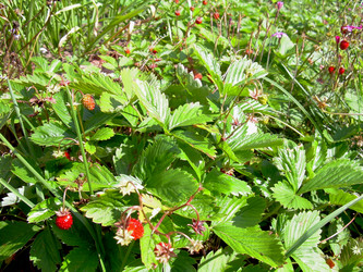 Similar image 21914359