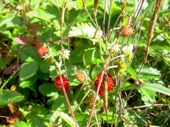 Similar image 21914360