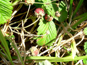 Similar image 21914362