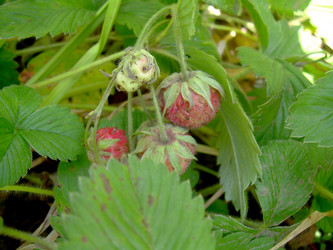 Similar image 21914363