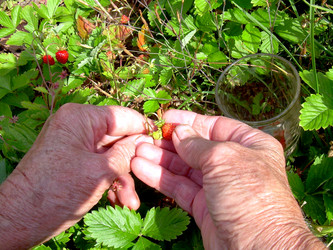 Similar image 21914365