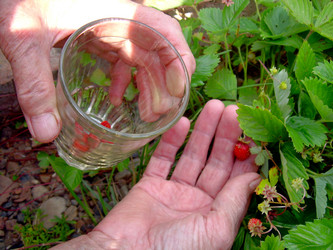 Similar image 21914366