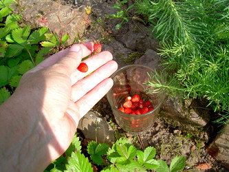 Similar image 21914367