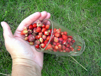 Similar image 21914368