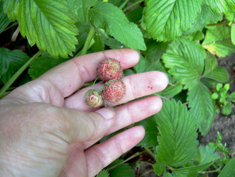 Similar image 21914369