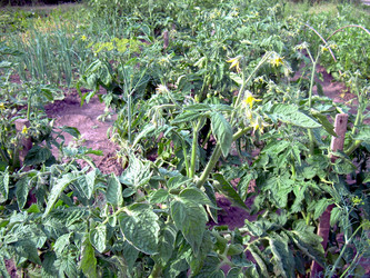 Similar image 21914370