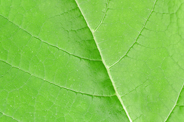 Similar image 21913507