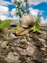 Similar image 21913508