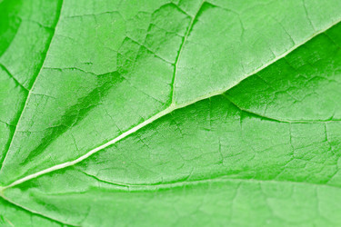 Similar image 21913509