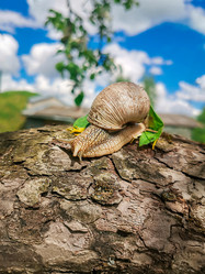 Similar image 21913510