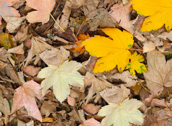 Similar image 21913515