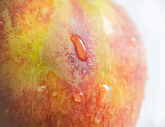 Similar image 21913518