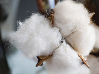 Similar image 21913528