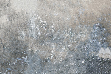 Similar image 21913530