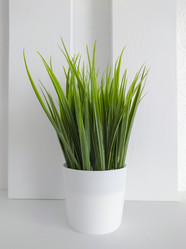 Similar image 21913536