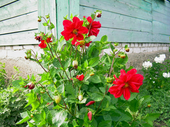 Similar image 21914372