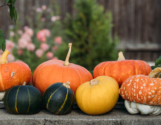 Similar image 21911679