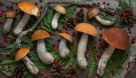 Similar image 21911680