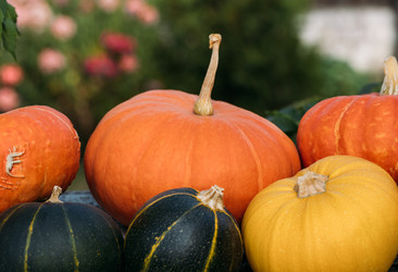 Similar image 21911681