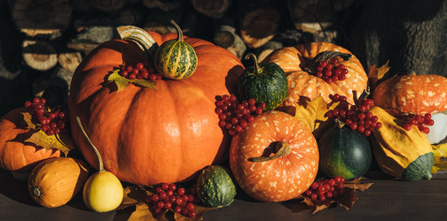 Similar image 21911685