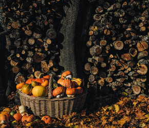 Similar image 21911687