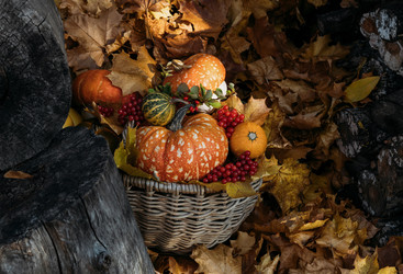 Similar image 21911689