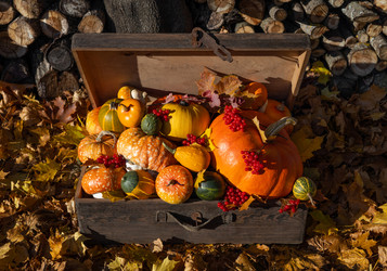 Similar image 21911690