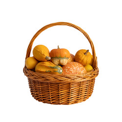 Similar image 21911691