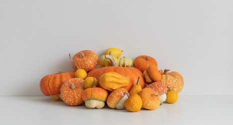 Similar image 21911694