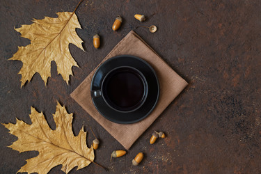 Similar image 21911698