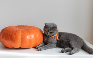 Similar image 21911699