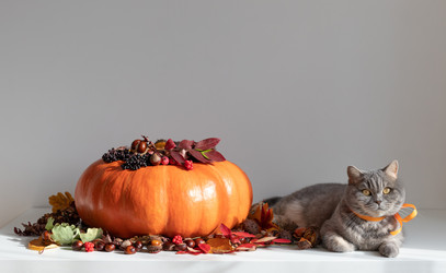 Similar image 21911700