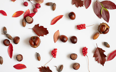 Similar image 21911703