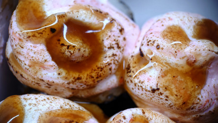 Similar image 21913019